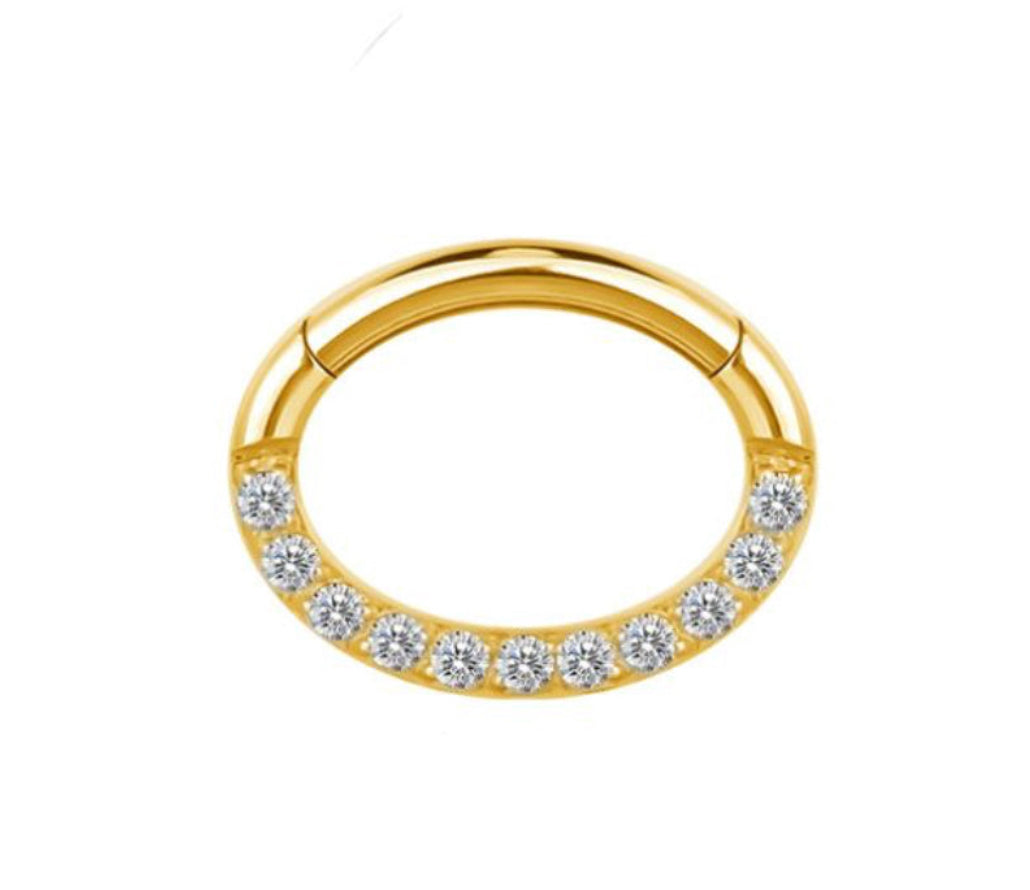 Titan Oval Segmentring Silber Nasenring | Steel Force