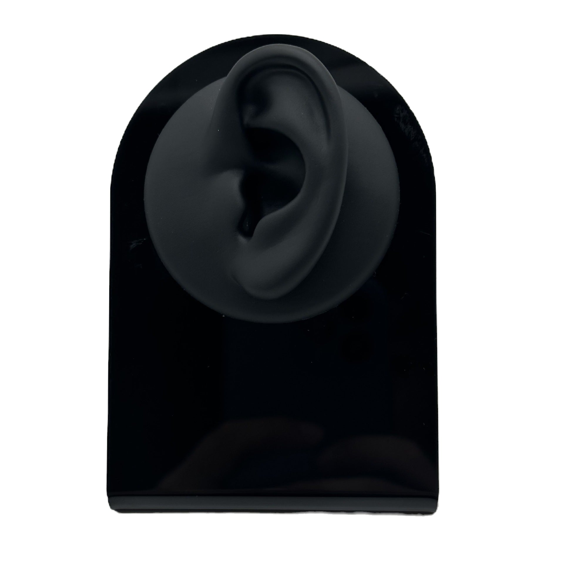 Schwarzes Ohr Modell, Silikon mit Ausstellungsständer