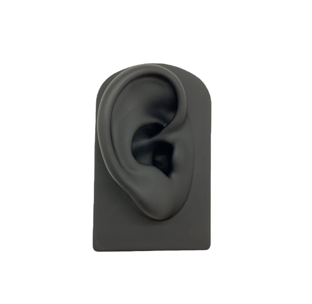 Modell Wiederverwendbarer Ohr Display-Ständer für professionelle Piercings, Ohr