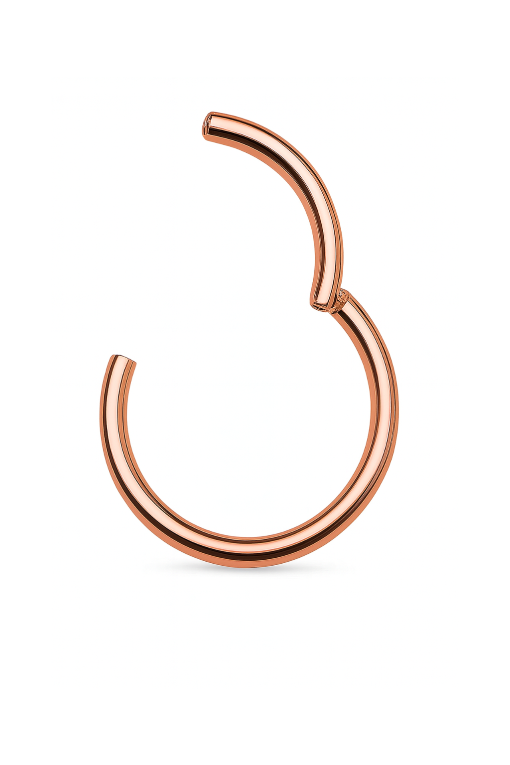 Titan Hinged Segmentring