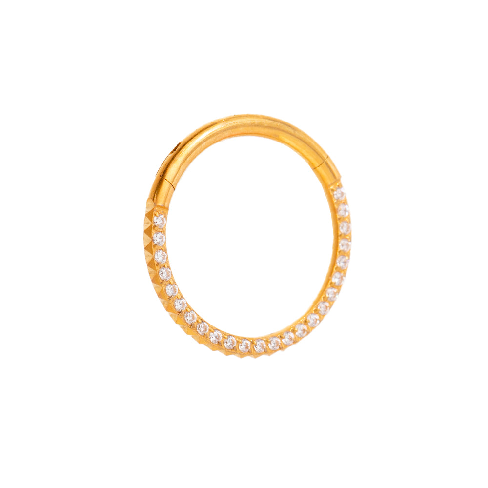 Titan Segmentring mit Kristallen und Gravur