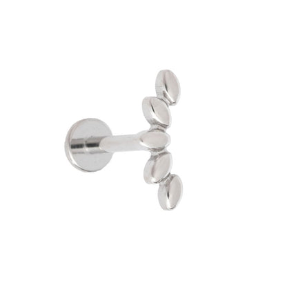 Titan Labret mit 5 Blätter