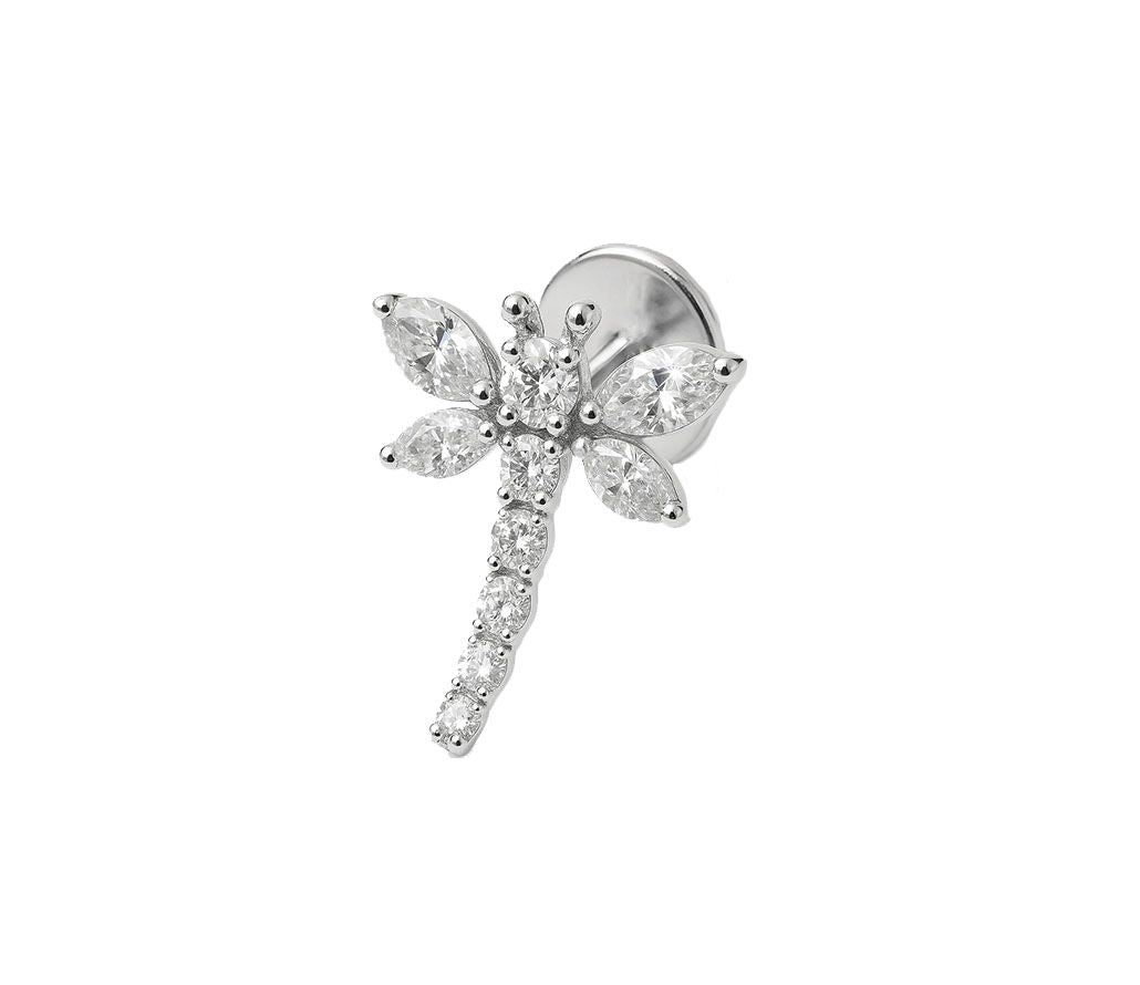 Titan Labret mit Libelle