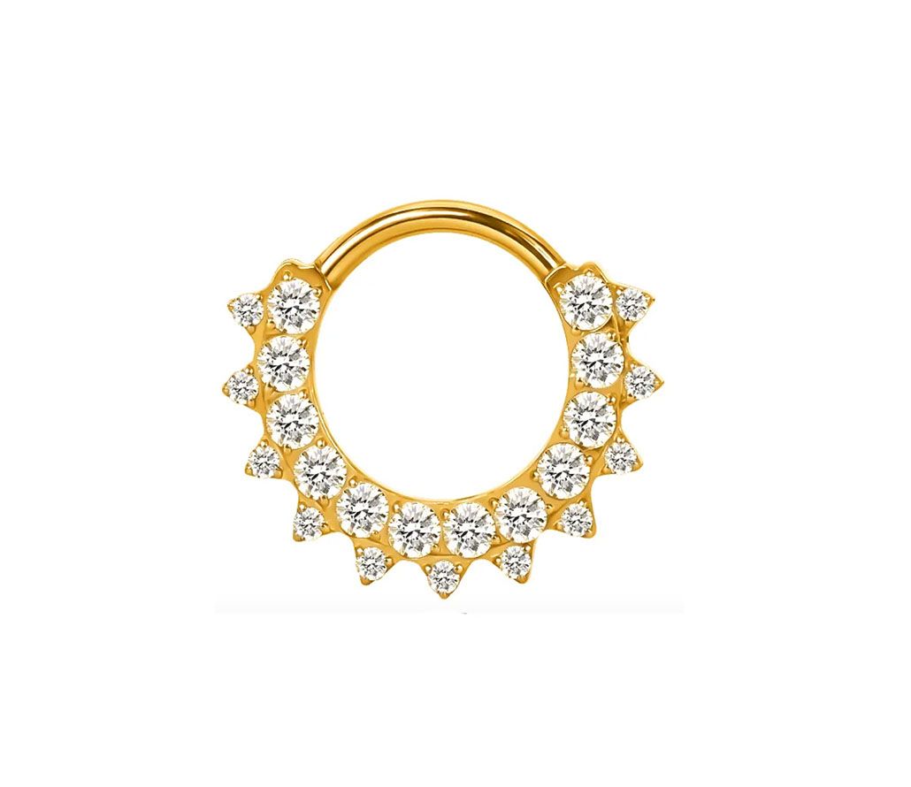 Titan Segmentring mit Kristallen