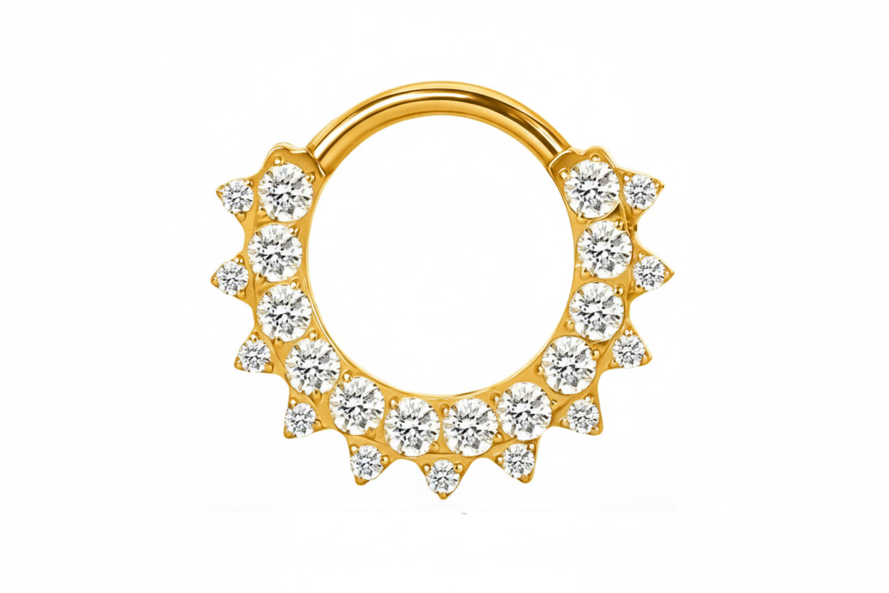 Titan Großer Kristall Segmentring Silber Daith | Steel Force