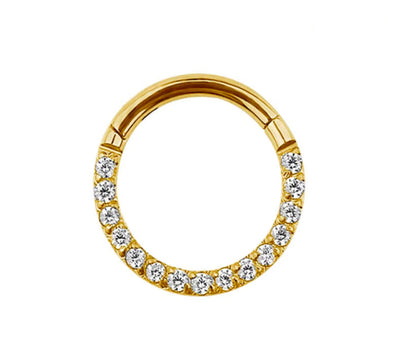 Titan Segment Ring Silber Nasenring Septum | Steel Force
