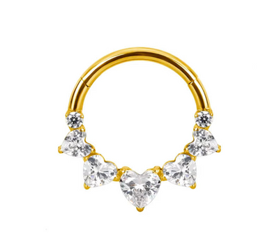 Titan Herz Segmentring Silber Nasenring | Steel Force