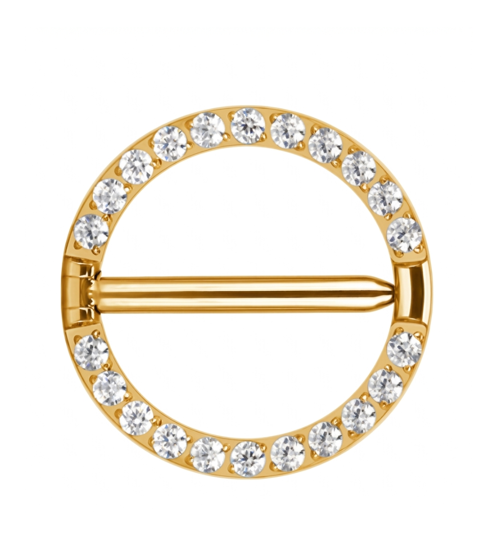 Brustwarzenpiercing Nipple Ring