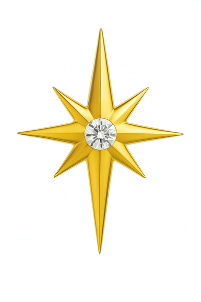 Zahnschmuck 18K Gold Stern mit Zirkonia Tooth Gem | Steel Force